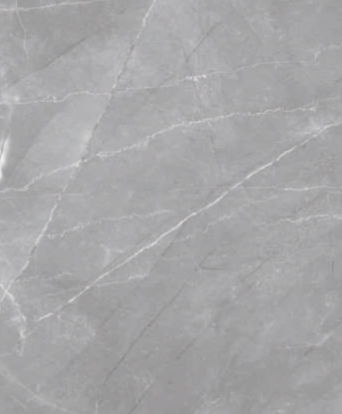 Armani Platinum Polished - ZH Tiles Warehouse inc.