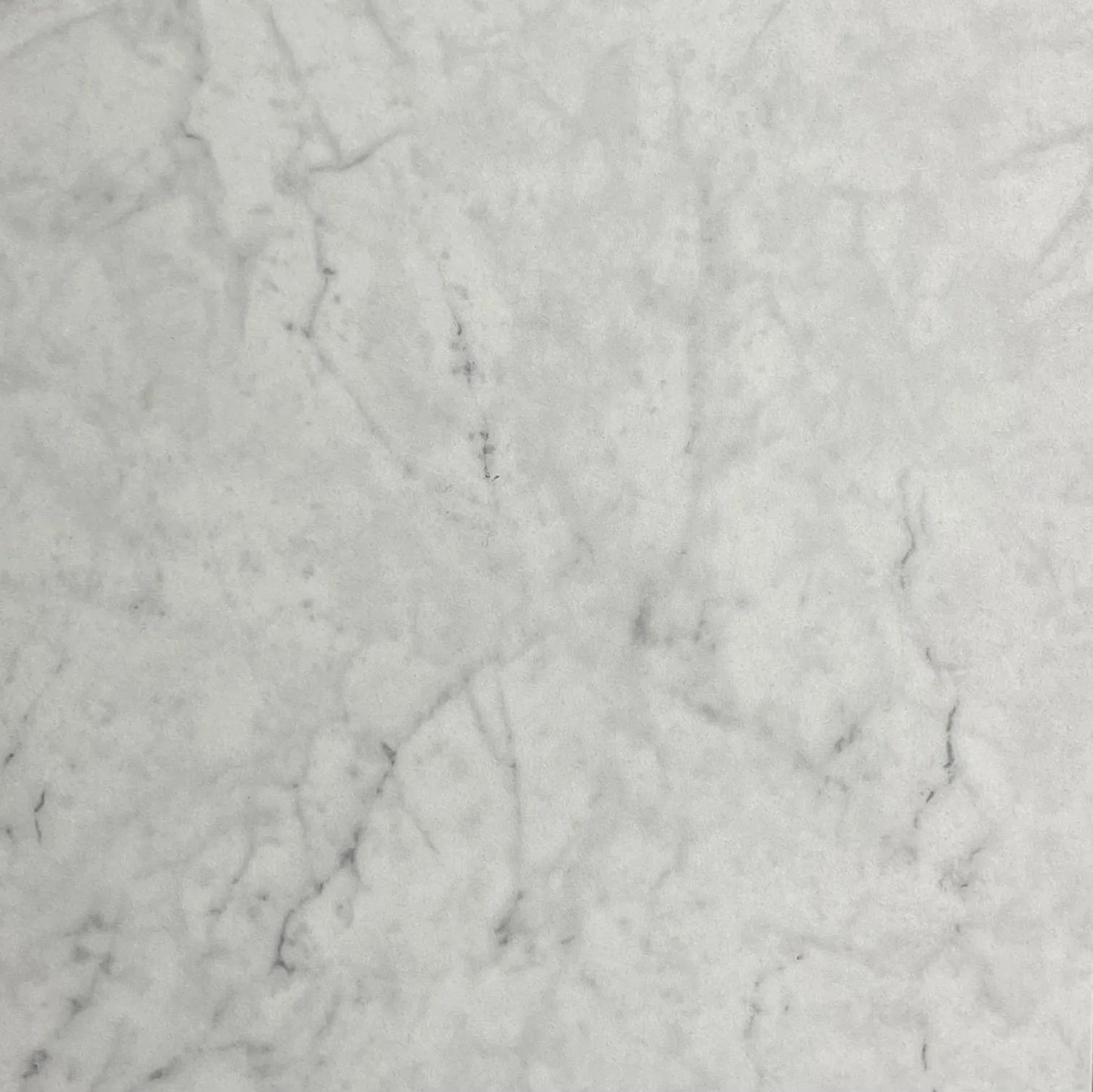 Carrara Matte Finish 12x24