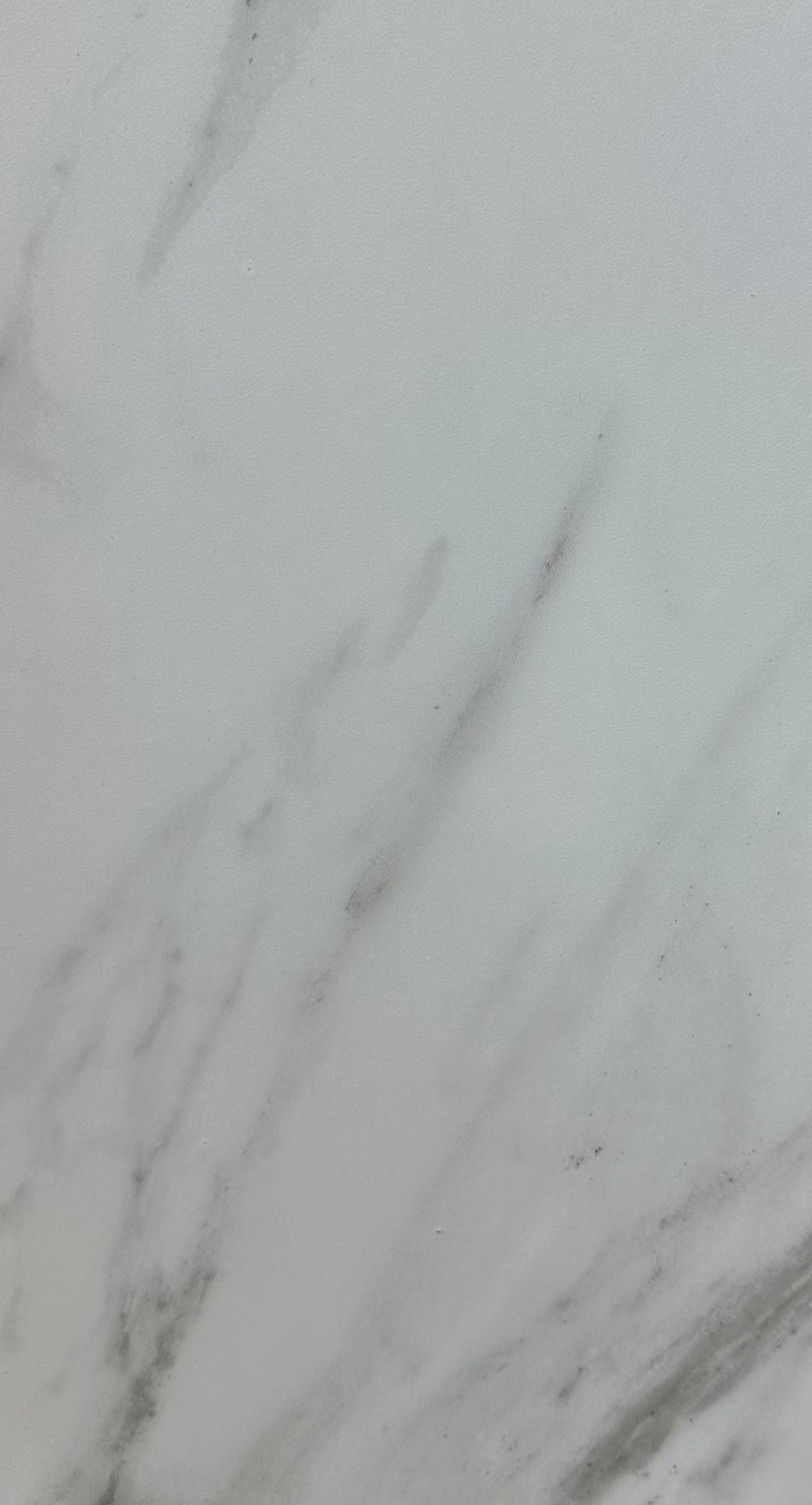 Himalaya Alpine Matte Carrara White - ZH Tiles Warehouse inc.