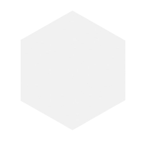 BLOCK HEXAGON BLANCO MATTE - ZH Tiles Warehouse inc.