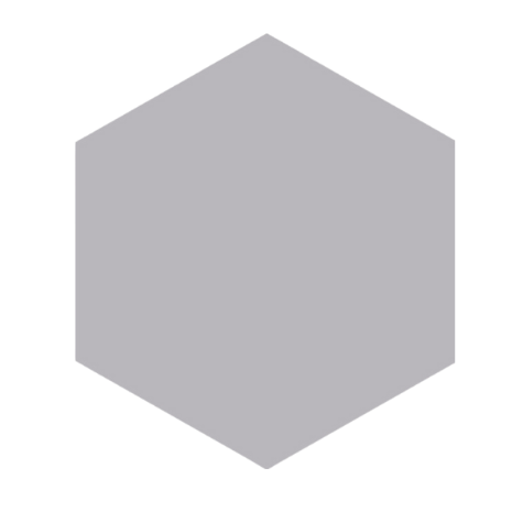 BLOCK HEXAGON GRIS MATTE - ZH Tiles Warehouse inc.