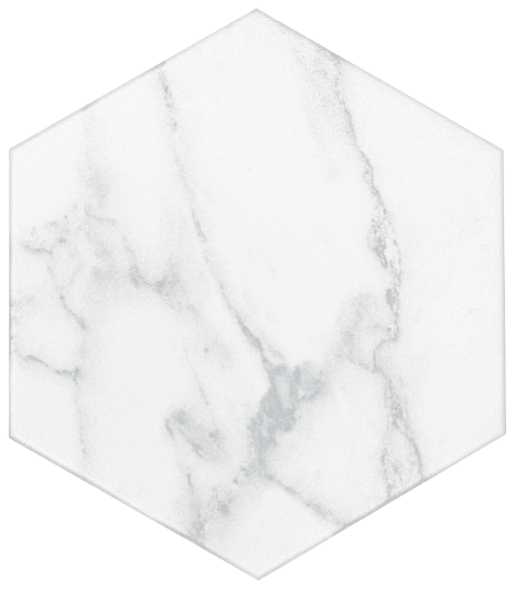 STATUARY 8X9 HEXAGON - ZH Tiles Warehouse inc.